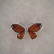 Broche papillon ailes d'ambre